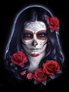 3D Picture Sugar Skull - (Earn 0 reward points on this item worth $0.00)